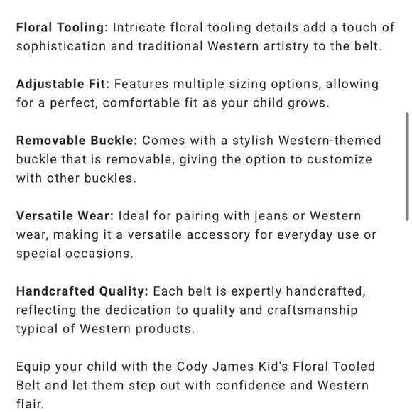 Cody James sz 28 kids Silver and Gold Western Belt Buckle - Picture 14 of 14